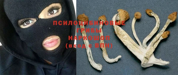 ПСИЛОЦИБИНОВЫЕ ГРИБЫ Зерноград